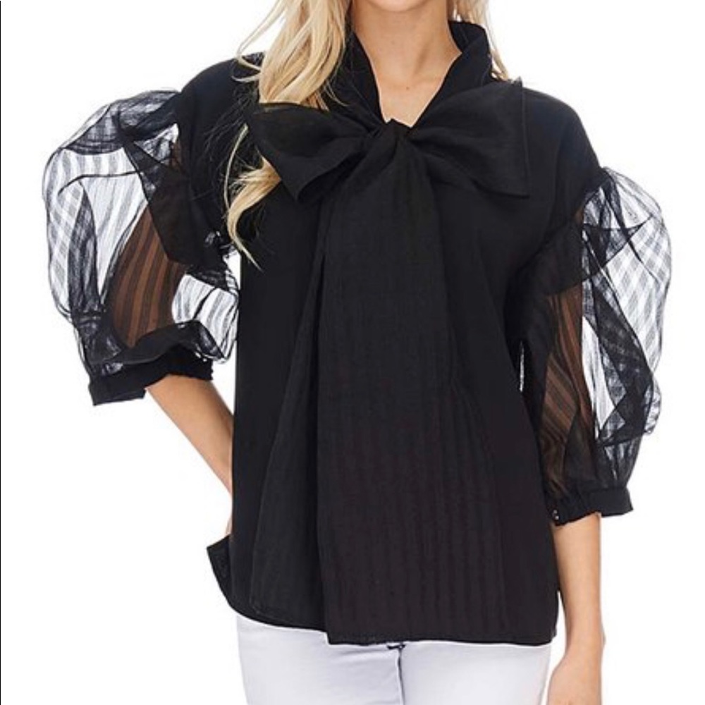 unique TOV sheer puffy sleeves blouse new  sz 10